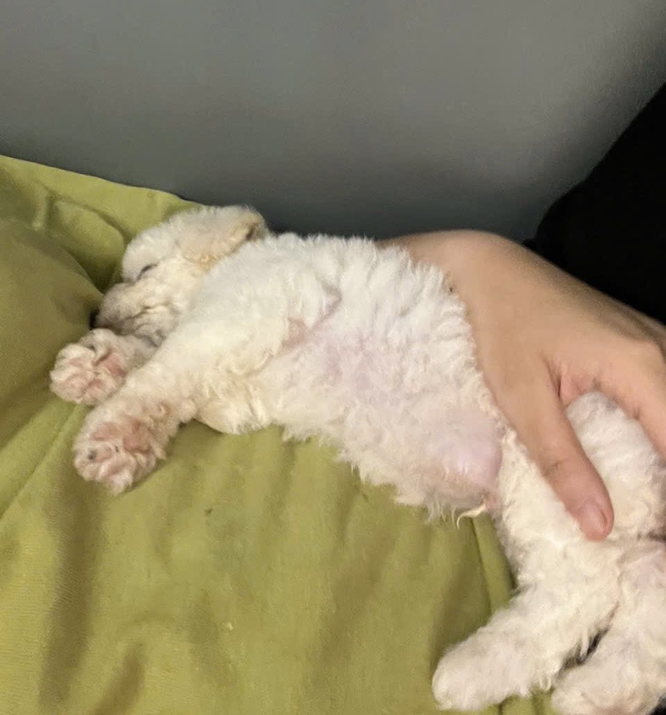 kami218830's tweet photo. My whole world🥺 https://t.co/wnuWnWVyrr