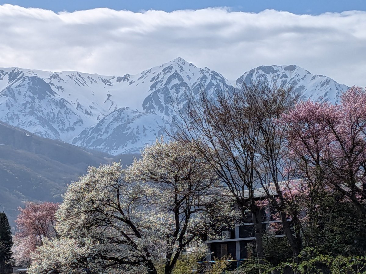 杉尾ひでや 参議院議員【公式】 tweet media