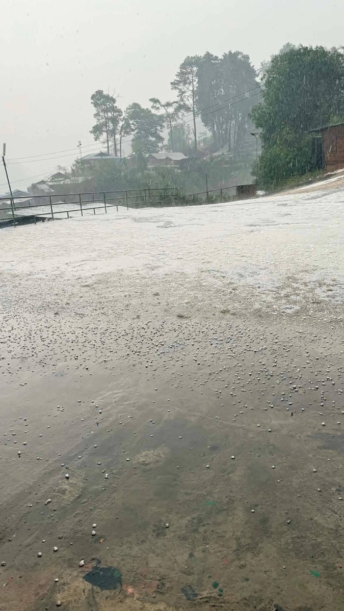 18 เม.ย.69 เมื่อเวลา 18.00 น. เกิดพายุฤดูร้อนถล่ม ฝนตก ลมแรง และมีลูกเห็บตก ในพื้นที่ อ่างขาง จ.เชียงใหม่ 

(Cr. เชียงใหม่นิวส์ Chiang Mai News ข่าวเชียงใหม่ , Teeyee Yee, ขวัญฤทัยกับข้าวสด)