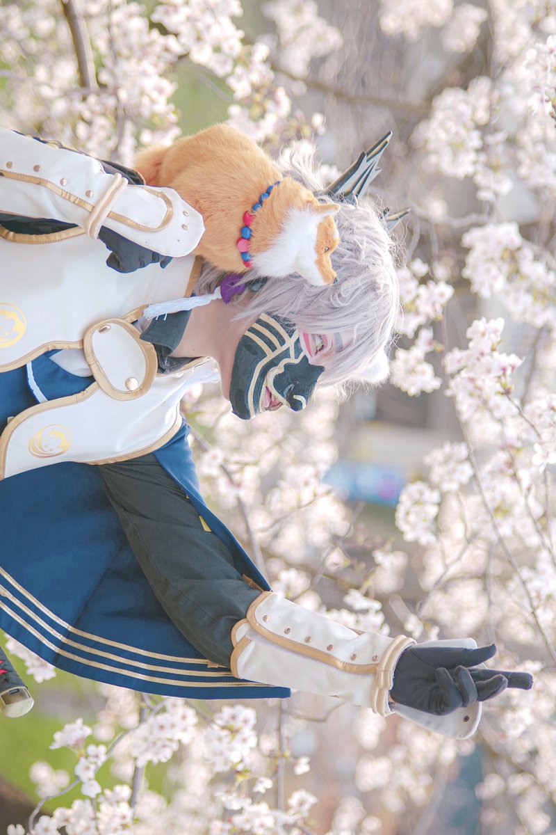 cosplay 刀剣乱舞

鳴狐－極－

－ ともに春を見る、 －

photo：にいやちゃん(<a href="/dpjmg244/">にいや　ちょこちょこ出戻り中</a>)

 #コスオール