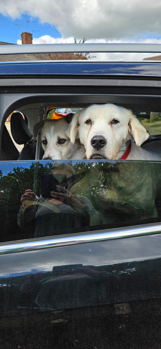 ktulu_r's tweet image. Wyjezdzamy. #holiday