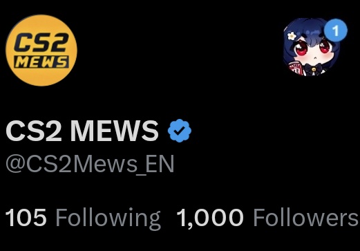 CS2 MEWS tweet media