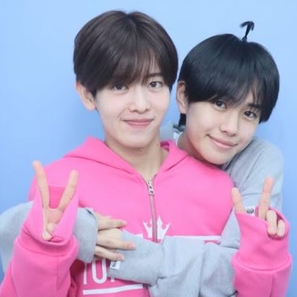 🌟🪽 tweet media