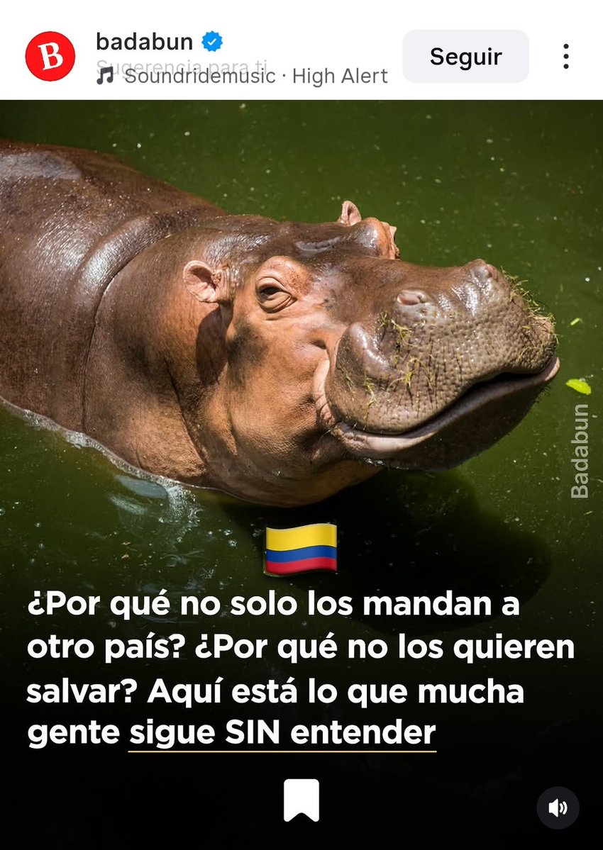 sergiobarbosach's tweet image. #Sos @PETA_Latino