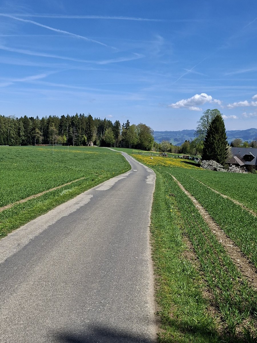 Ueli Schwaller 📯 tweet media