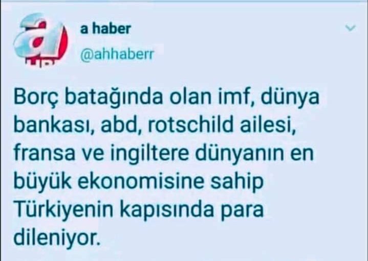 Haluk tweet media