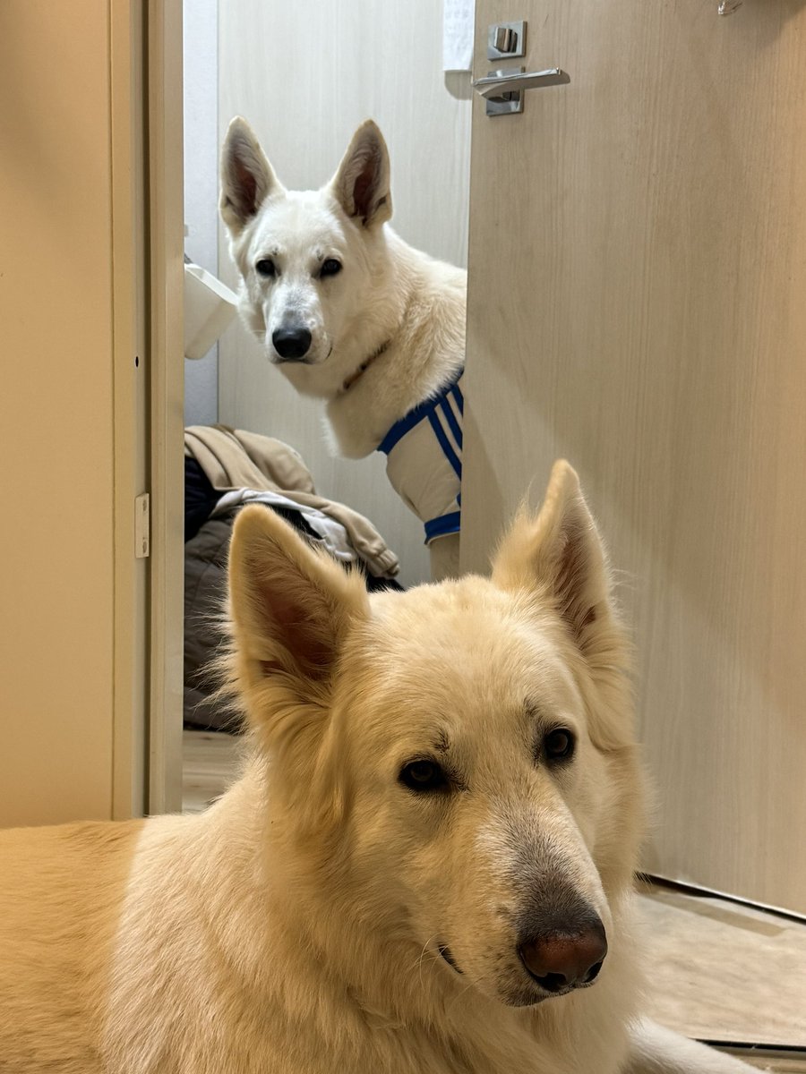 Kazu Tomita tweet media