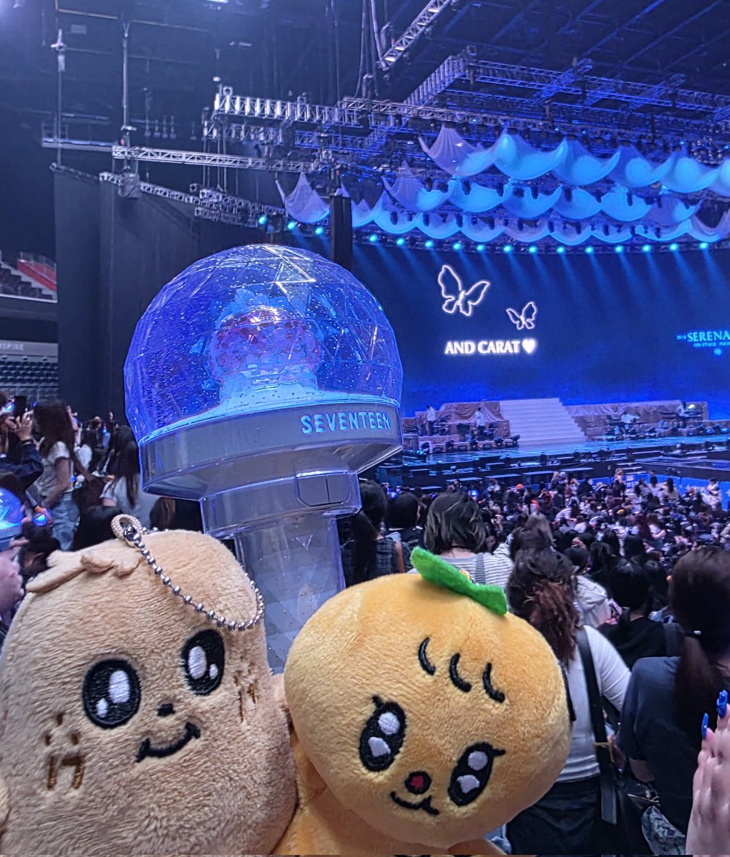 박하 the Plastic🐶🍊 tweet media