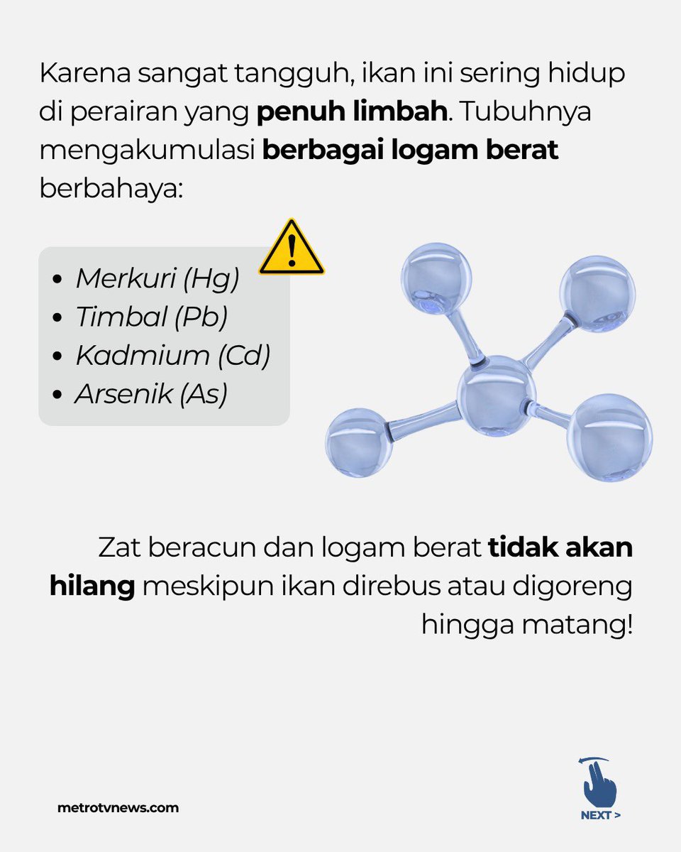 Metro_TV's tweet photo. #Kesehatan #InfoPangan #IkanSapuSapu #BahayaLogamBerat #TipsKesehatan https://t.co/Jkgeij6uv9