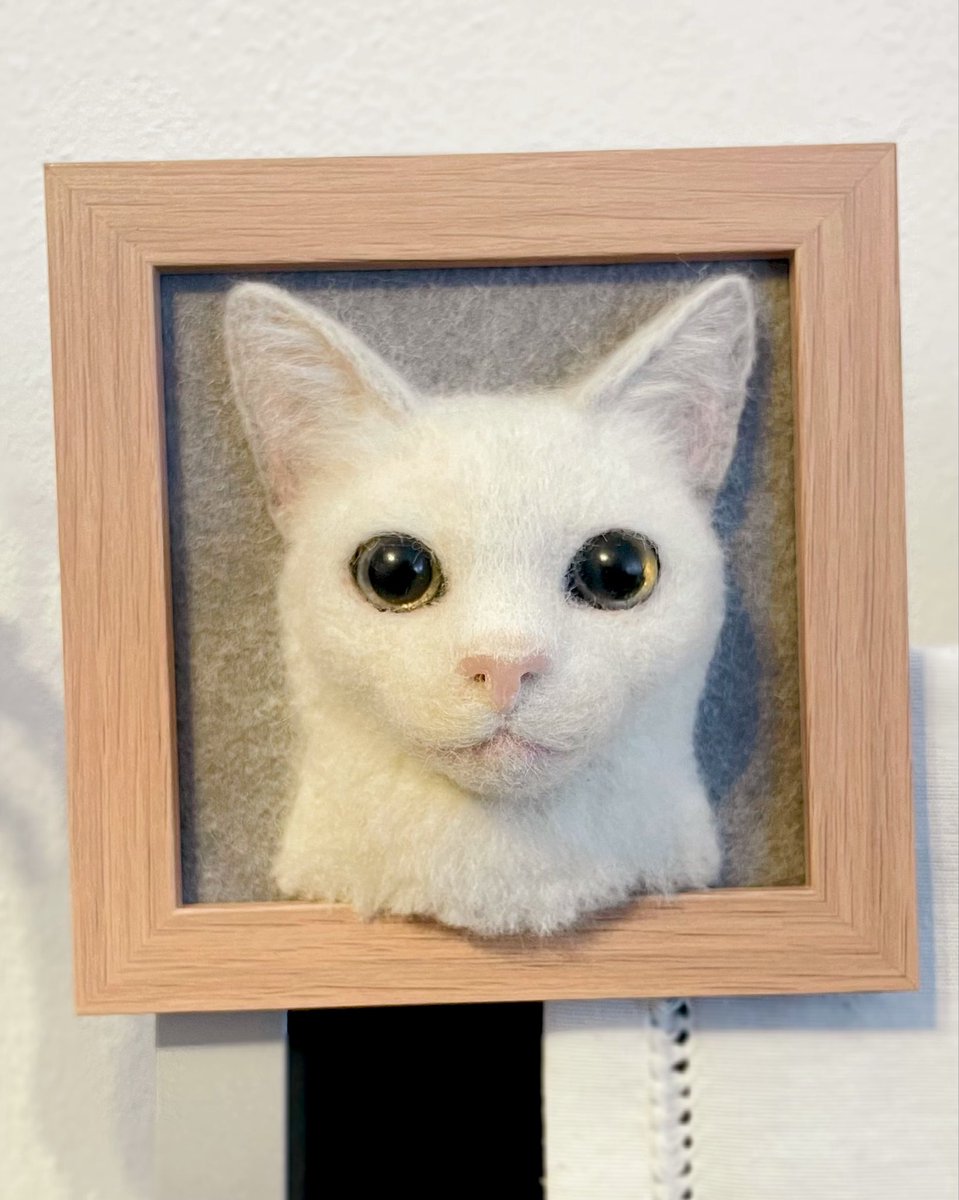 トコ🇩🇪ドイツ魔女見習い tweet media