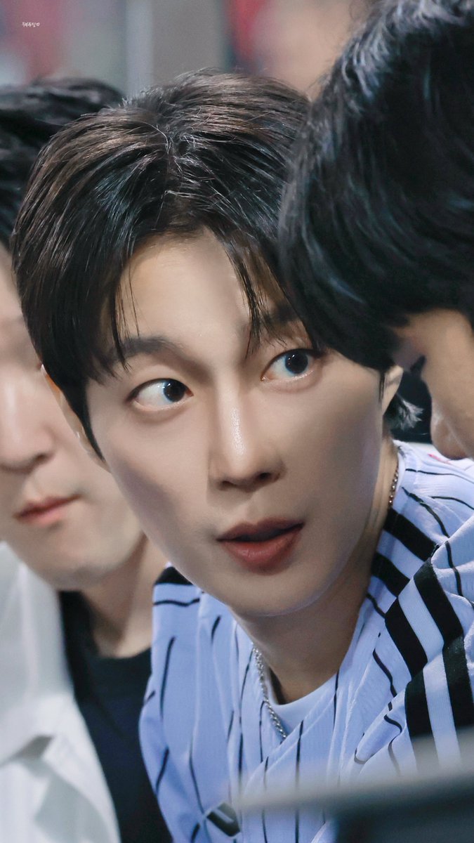 두부푸딩 tweet media