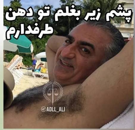 امیر tweet media