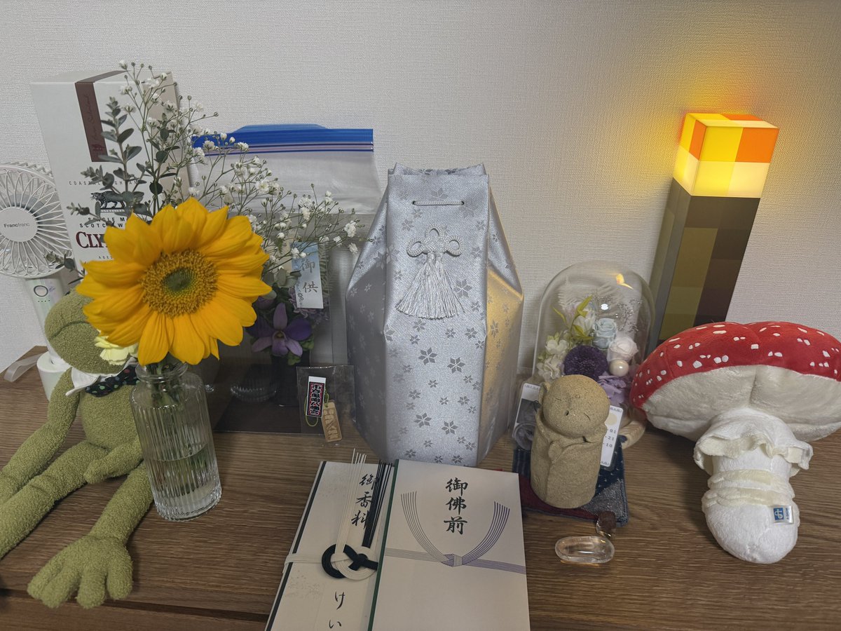 山葵🇰🇵猫求ム tweet media