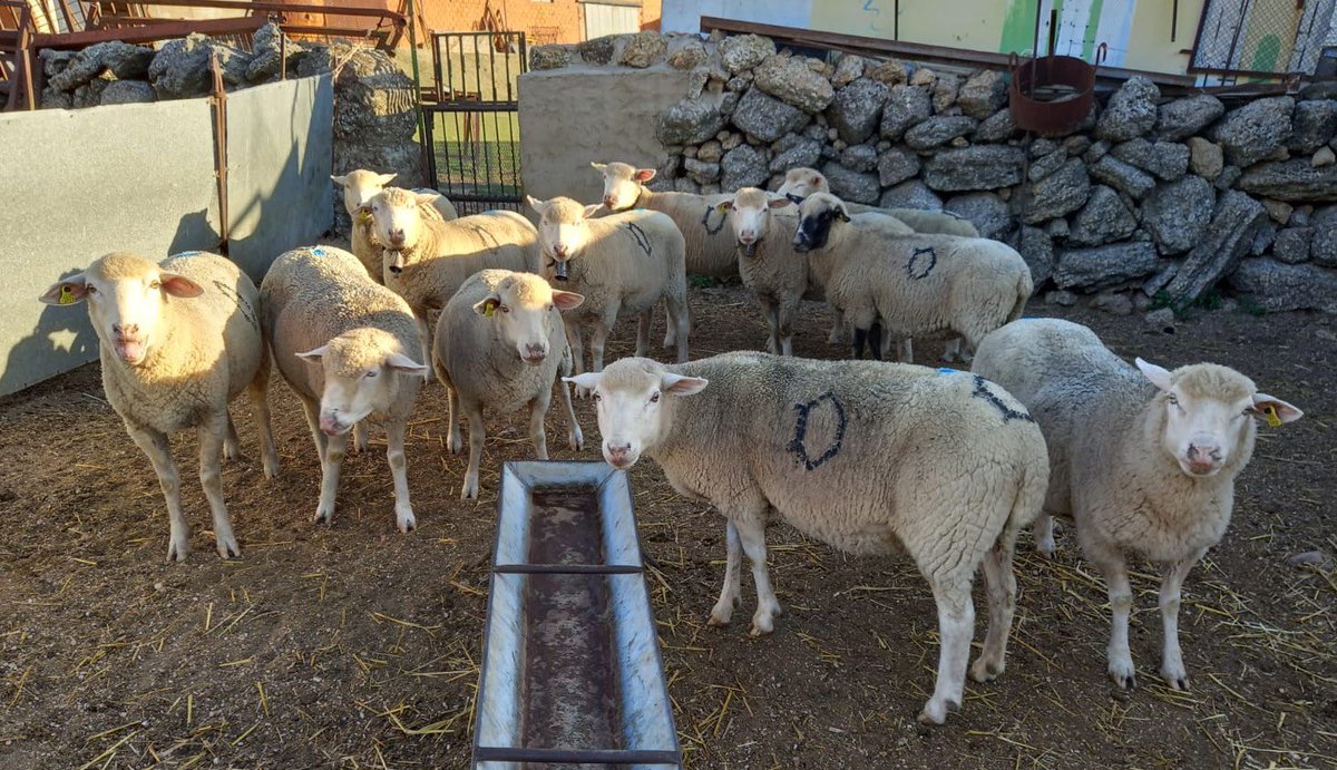 ʜᴇʀQʟᴇs tweet media