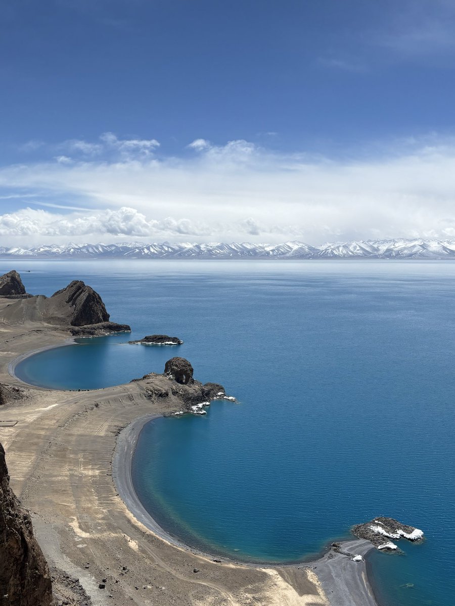 迷你小猫🐱 tweet media