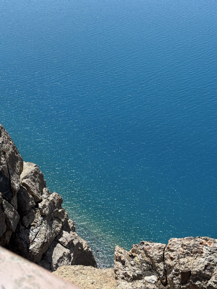 迷你小猫🐱 tweet media