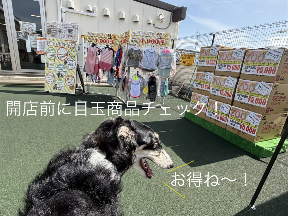 カメレもんぐっず99 tweet media