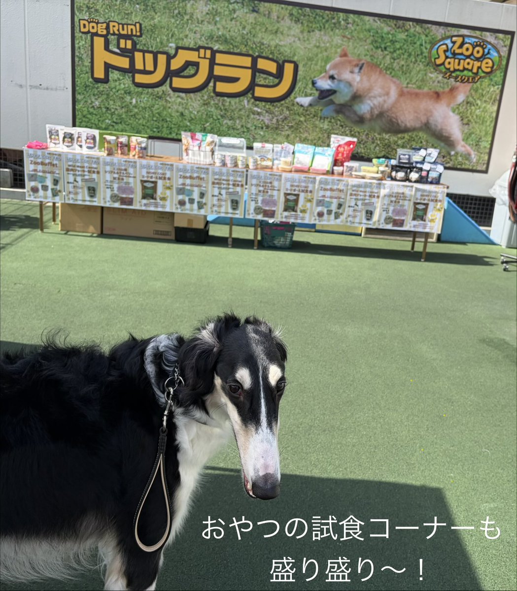 カメレもんぐっず99 tweet media