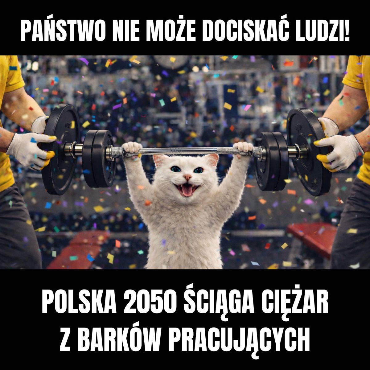 Polska 2050 tweet media