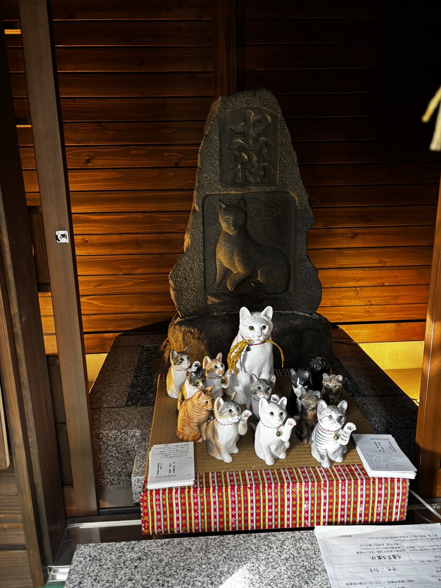 Van hoo-hoo. tsukasa tweet media