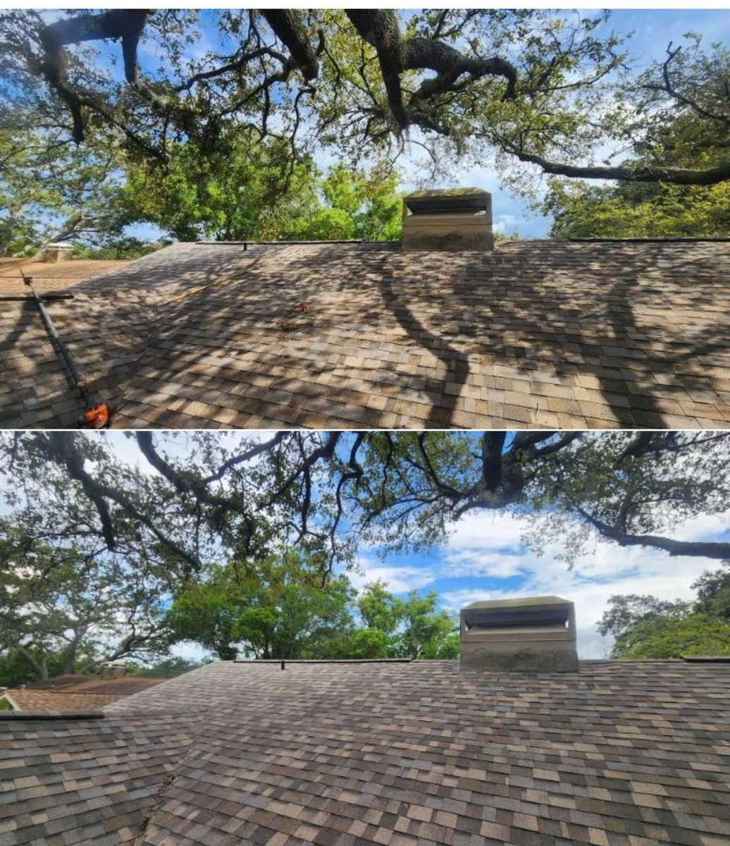 MooreCutsFL's tweet photo. Got your refund? Invest it wisely in your property with Moore Cuts Florida Tree Service! Before the summer storms hit, let us help prepare &amp; beautify your trees. Go to https://t.co/4rhk7l8Lzi to explore how we ensure safety &amp; enhance your trees. Your trees deserve the best! https://t.co/6RFwdQpIKY
