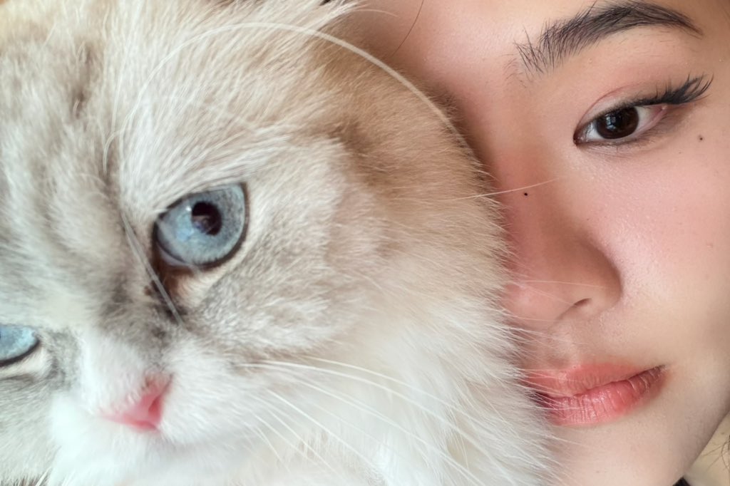 พั น ด า ว 🥚 tweet media