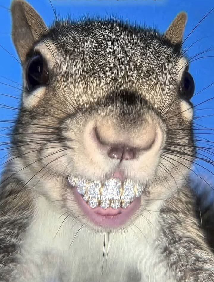 SeñorBaggz 🀄️🇨🇦➡️🇲🇽 (🌮,🌮) Andale🌶️ tweet media