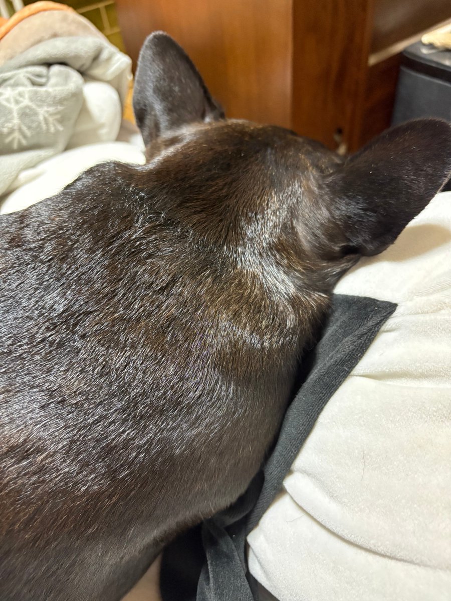 nono@buhi tweet media