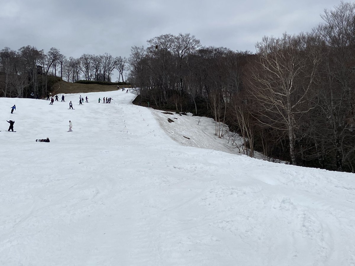 snow_monkey1440's tweet photo. 2025-2026シーズン26日目🎿

今日もゆるコブマラソン🏃
先週よりも距離長いし、気温高いしで、何となく熱中症気味で帰宅🥺 https://t.co/naLv5utBUz