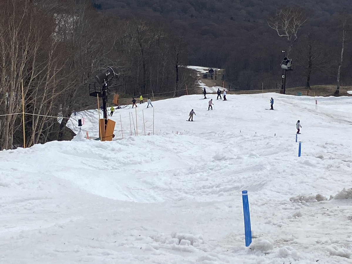 snow_monkey1440's tweet photo. 2025-2026シーズン26日目🎿

今日もゆるコブマラソン🏃
先週よりも距離長いし、気温高いしで、何となく熱中症気味で帰宅🥺 https://t.co/naLv5utBUz
