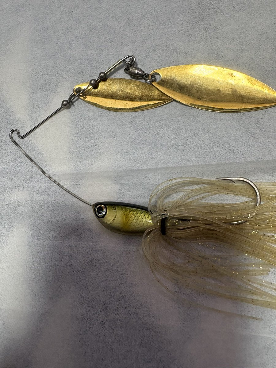 まさぼ tweet media