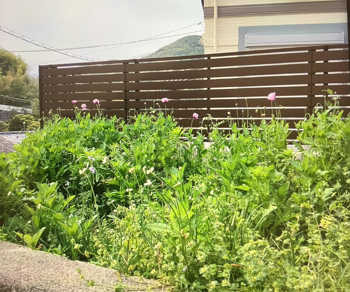 大倉さとし　長崎県議会議員　無所属 tweet media