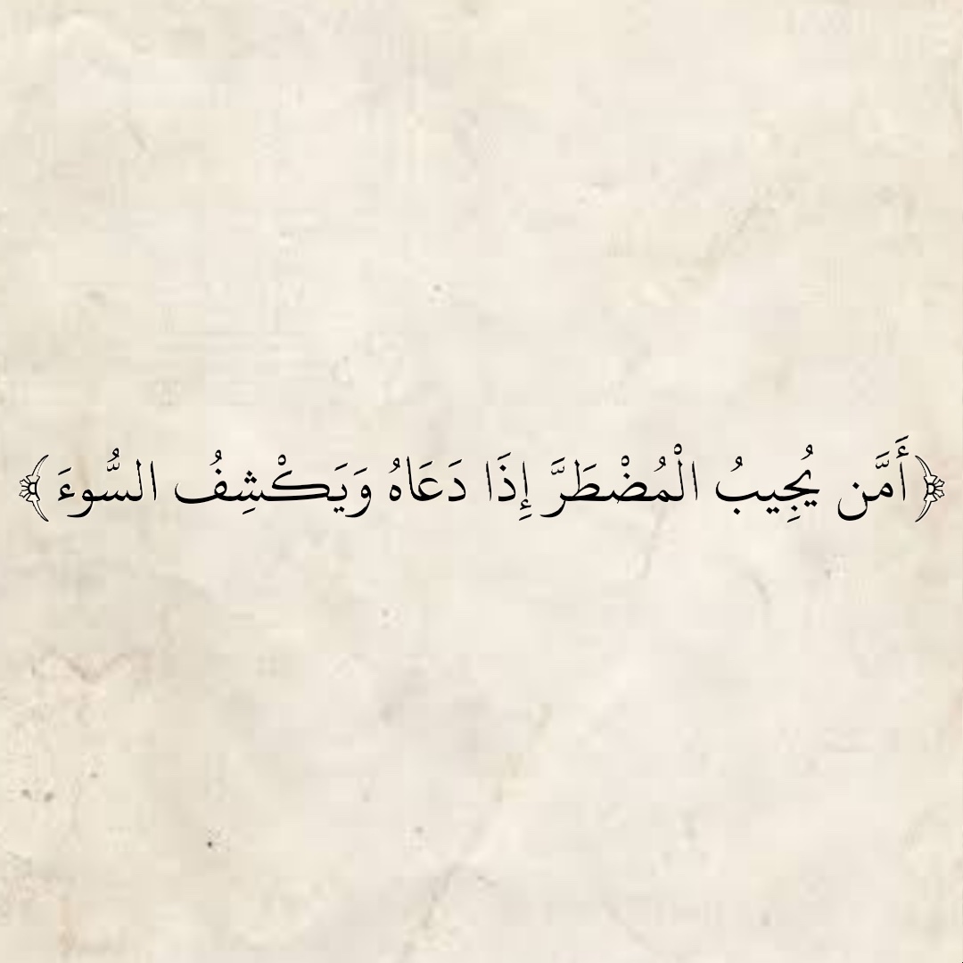 المُصْحَف (@almosahf) on Twitter photo 