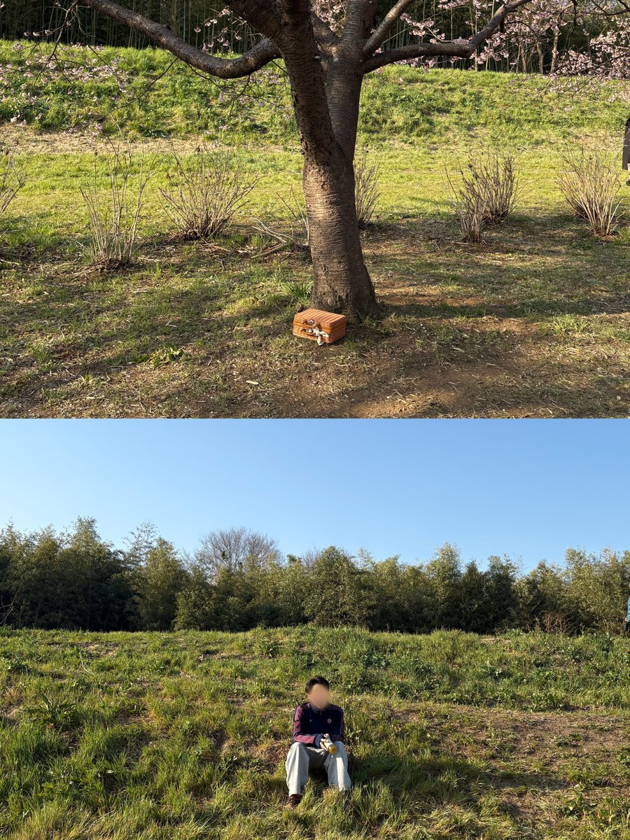 カニカマ tweet media