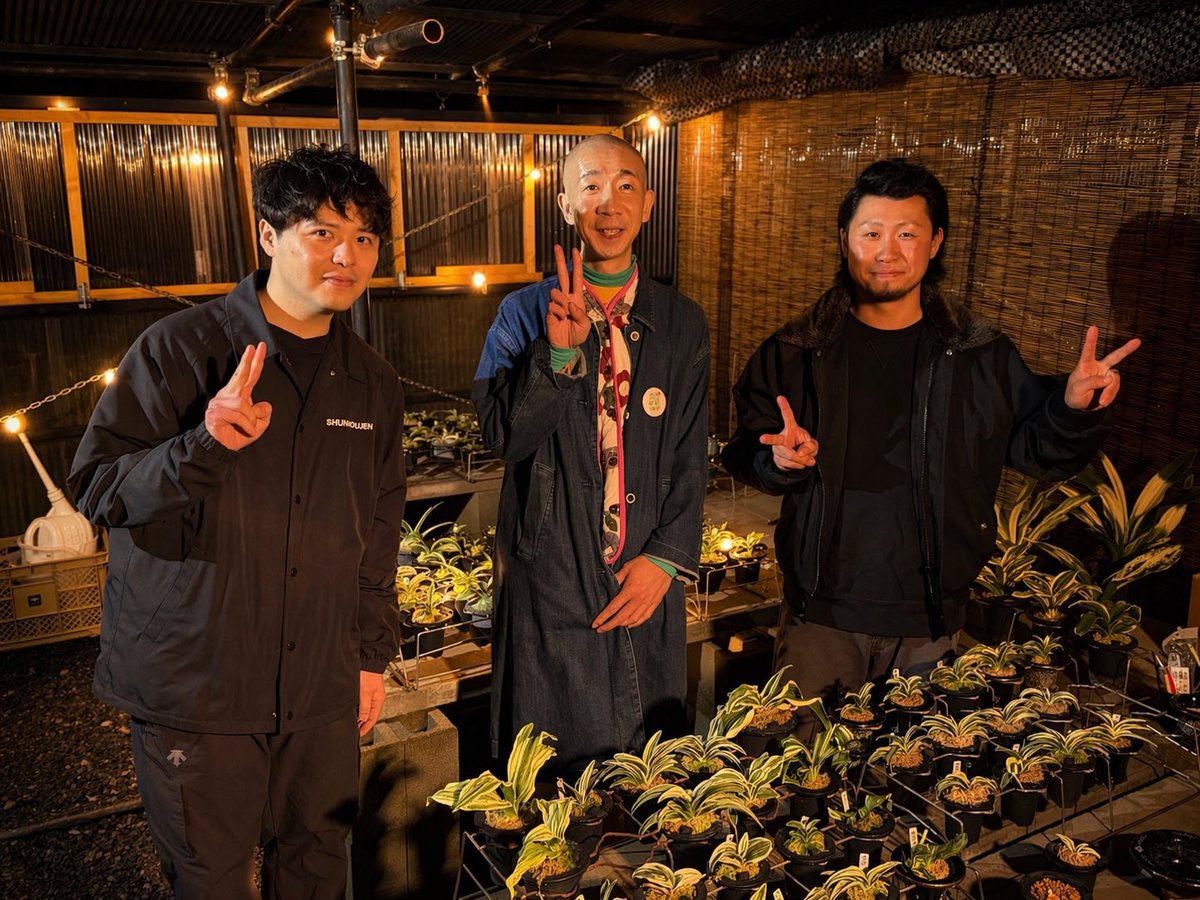 春光園 / SHUNKOUEN info (@shunkou_en) / Posts / X