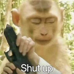 骚羊羊 tweet media