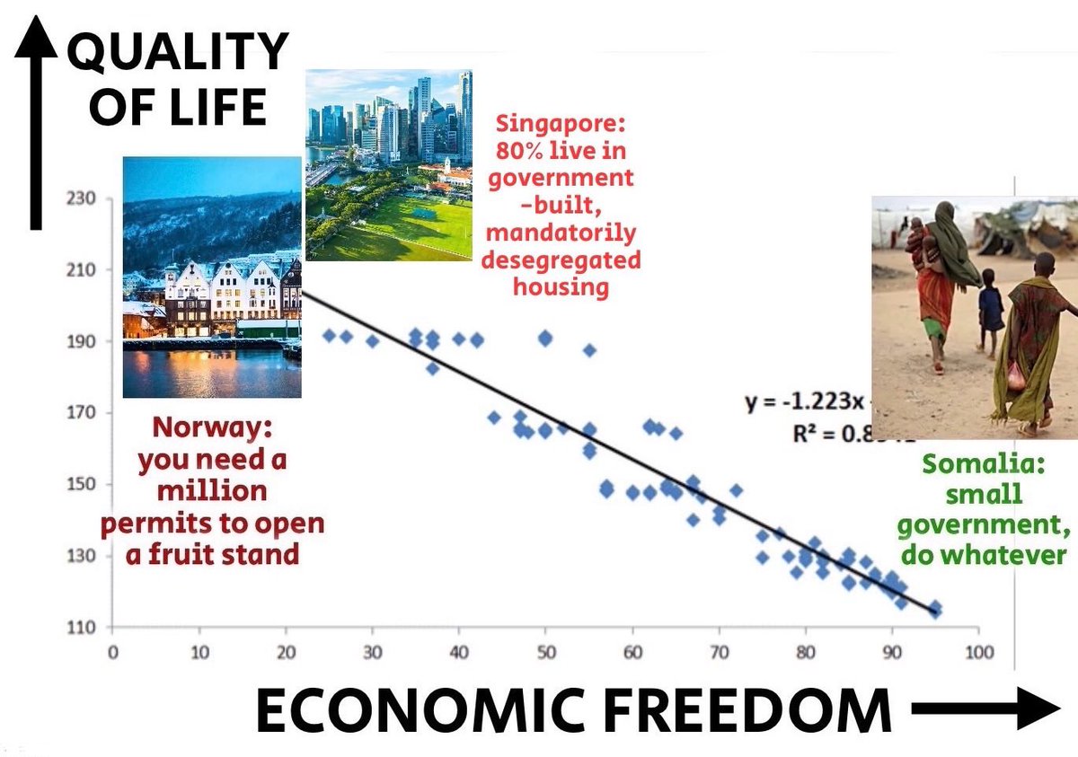 fiat money tweet media