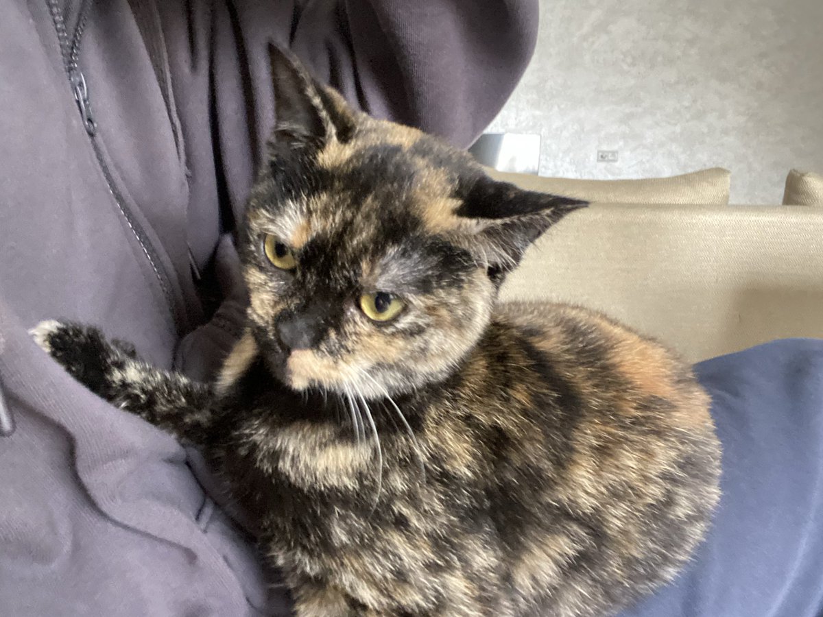 4luvofluv 🇲🇦 tweet media