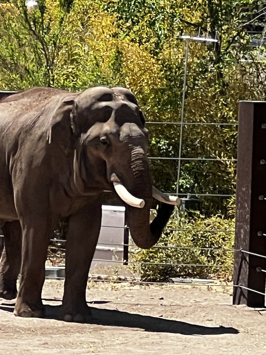 MoonSoon tweet media