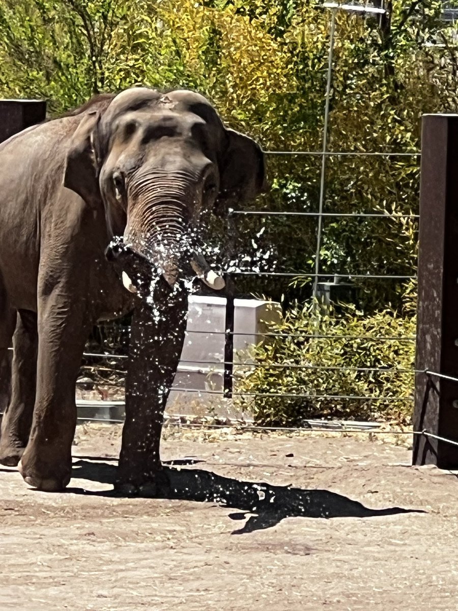 MoonSoon tweet media