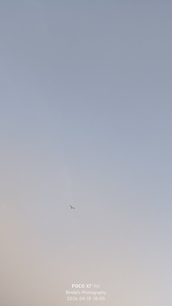 Nature_greedy's tweet image. #lucknow 
#clean 
#sky 
#just 
#click 
#bird 
#mobile 
#photography