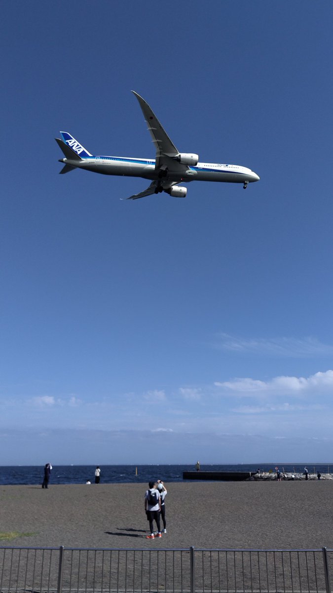 青い肉ロック tweet media