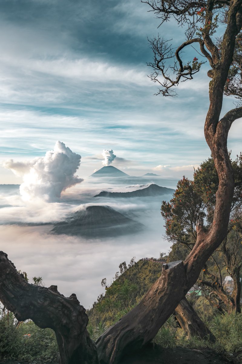 R.Suguri tweet media