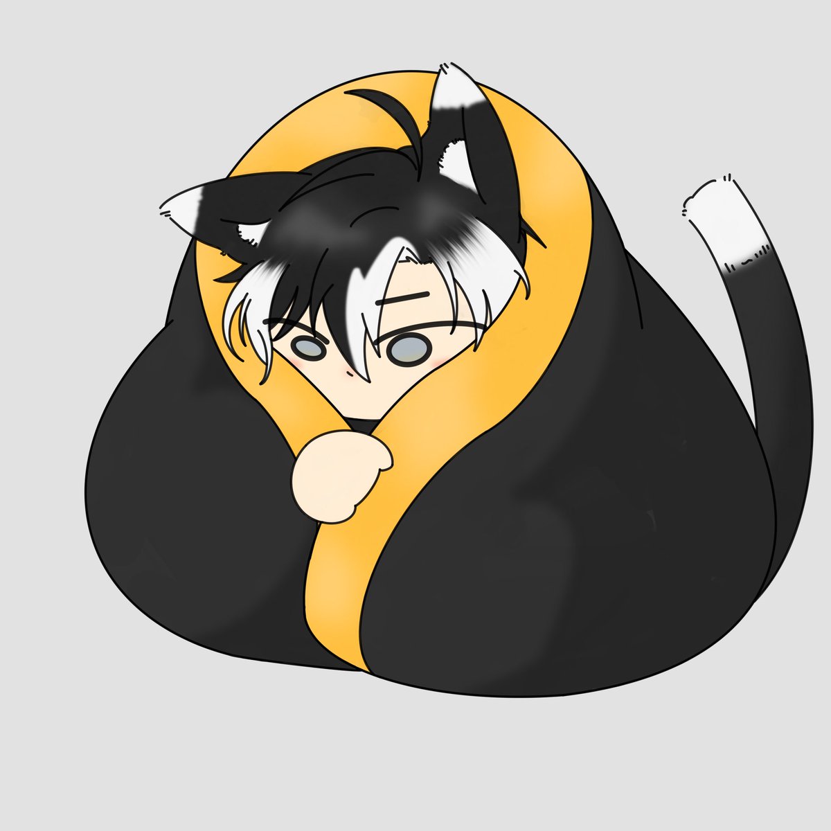 柯柯柯柯基 tweet media