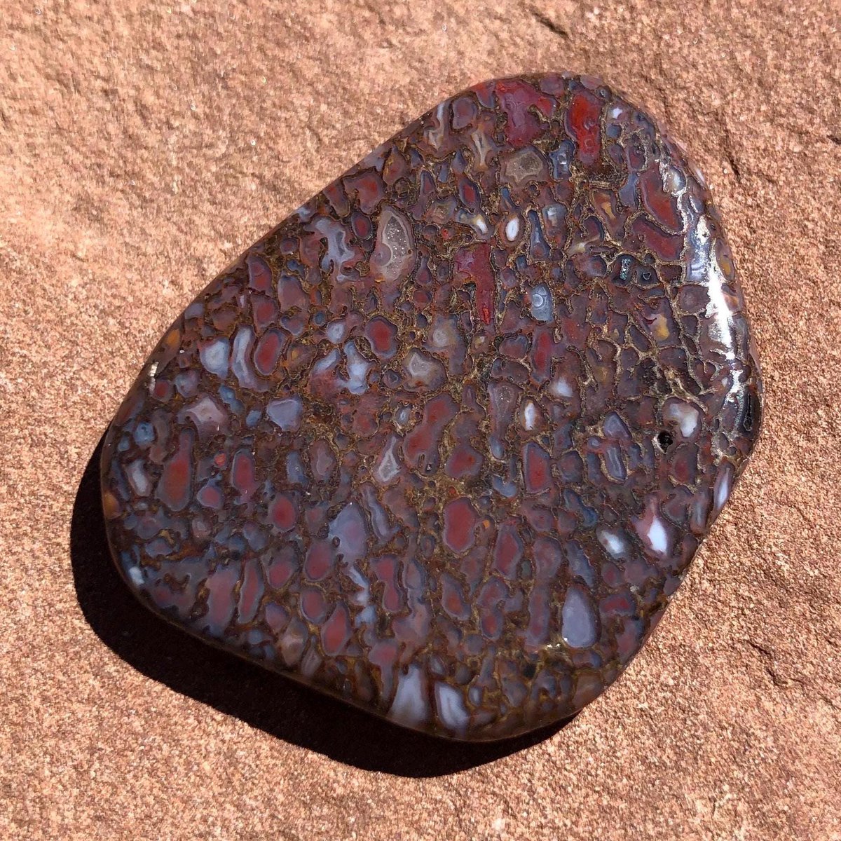 RockLadyRocks's tweet image. Fossil #dinosaurbone from the #fourcorners region of the USA is #Jurassic age! 30% off orders &amp;amp; free insured mailing in the USA at my #EtsyShop ! #dinobone #gemdinobone #dinosaurs

mountainpoodle.etsy.com/listing/429712…