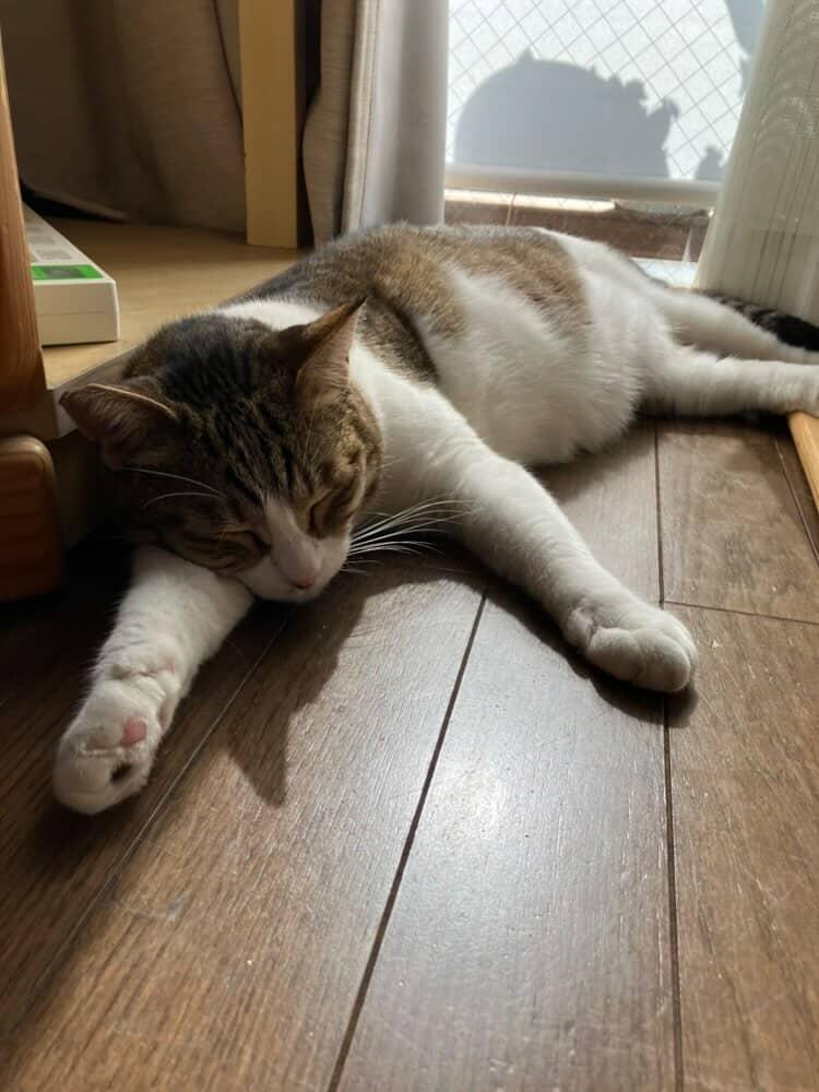 る な tweet media