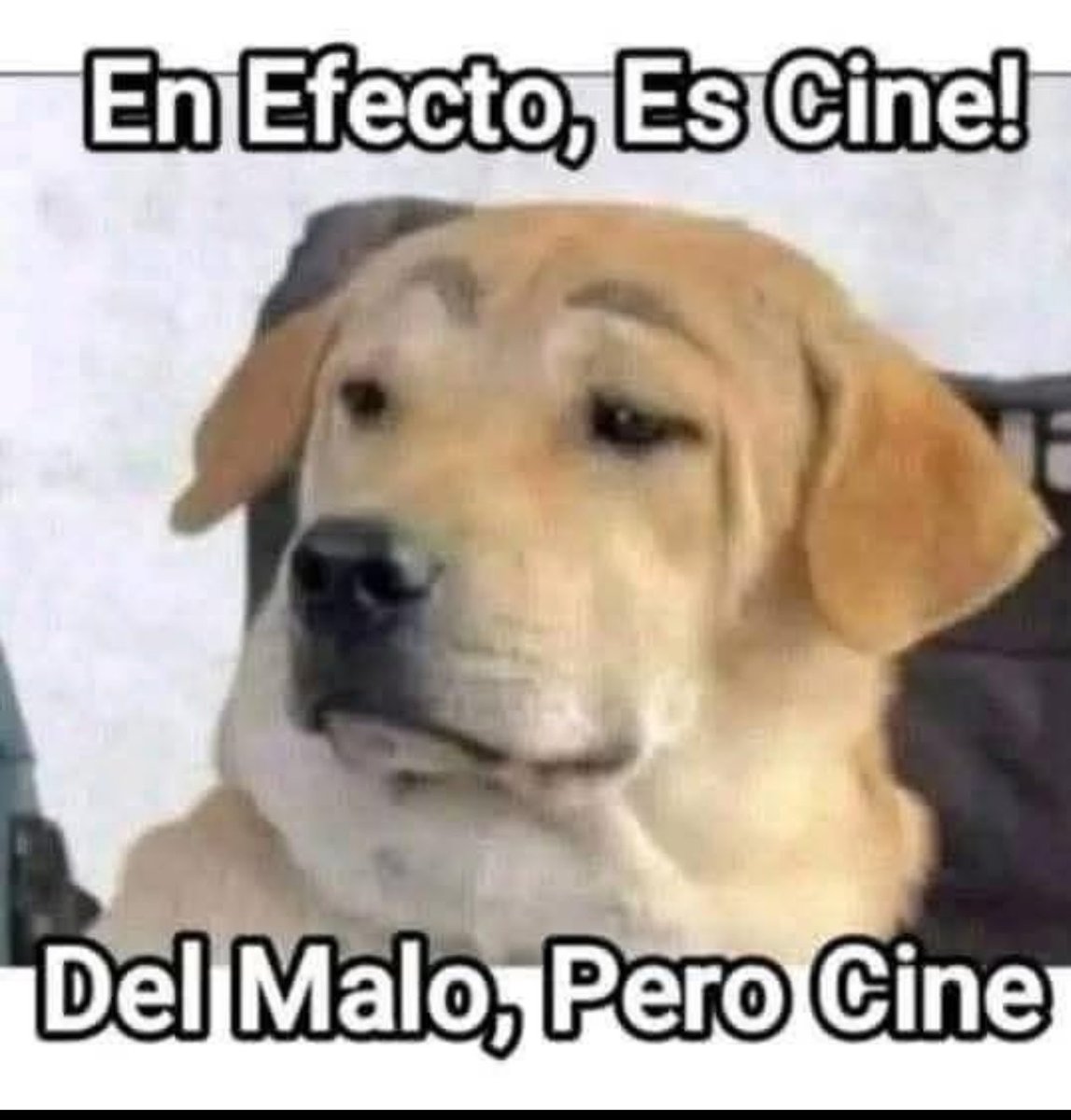 Logic Hunter🇩🇴 tweet media