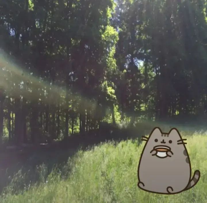 Pusheen parody account tweet media