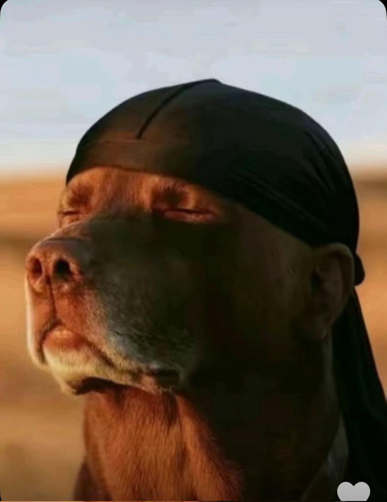 Rollex®™ 💎✦ tweet media