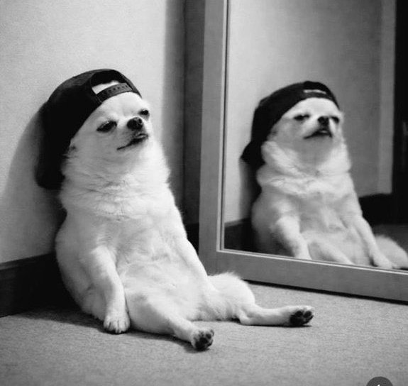 what do you mean by a slice of bread with spinach for breakfast, you must really take me for a bird